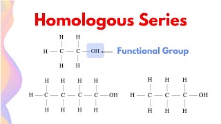 Difference Between Homologous Series and Functional Group  HSC Chemistry [upl. by Aivlis]