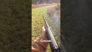 Pa Grouse Hunting Amazing Flush dog hunting uplandhunting [upl. by Ecneralc]