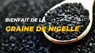 Les bienfaits de la graine de nigelle [upl. by Ettenuahs]