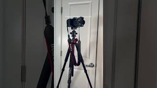 NEEWER 72” Monopod neewer tripodfilmvlogs howtomakevlogsaesthetically canon80Dcameratricks [upl. by Bubb961]