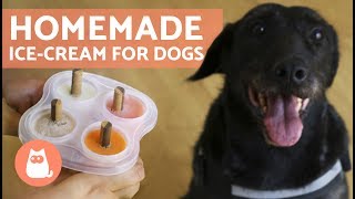 HOMEMADE ICE CREAM FOR DOGS  4 easy recipes [upl. by Ferwerda]