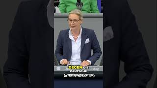 Dr Weidel deckt Merkels Fehlentscheidungen auf [upl. by Ailices768]