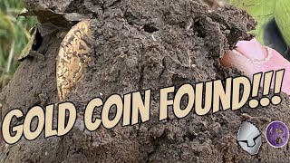 GOLD COIN FOUND  Find Of Lifetime Metal Detecting Uk Farm Land gold treasure metaldetectors [upl. by Ervine]