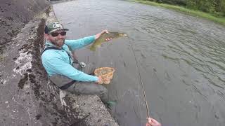 Fly Fishing the Dunajec River Poland  July 10 2023 Part 2 [upl. by Heti326]