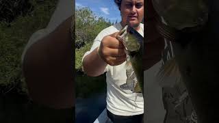 Anglers hooks something really big in the Florida Everglades Find out what the mystery fish is [upl. by Nanreik]