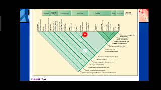 Understanding Phylogenetic Trees and Tree Diagrams Explained in Urdu [upl. by Asirahc848]