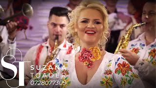 Suzana Toader și Felician Nicola Se aud saxofoanele 🎷🎷 Colaj Bihor [upl. by Bonner973]