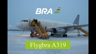 Flight Review – Flygbra Airbus A319111 StockholmMalmö Economy Light [upl. by Eniowtna710]