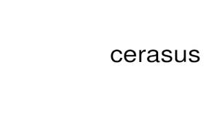 How to pronounce cerasus [upl. by Onitsuaf]