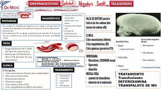 3 RM19 2V HEMATOLOGÍA ESFEROCITOSIS DEFICIT DE PK Y G6PDH DREPANOCITOSIS TALASEMIAS [upl. by Dahc]