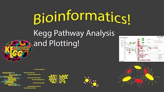 Bioinformatics  KEGG Pathway Visualization in R [upl. by Cassi]