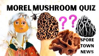 Morel Mushroom Trivia Quiz  How good is your morel mushroom knowledge Food safety general facts [upl. by Yeffej]