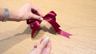 How To Make A Satin Ribbon Double Bow  Tie Florist Bow Tutorial [upl. by Hueston350]