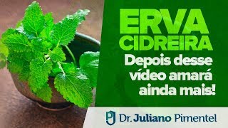 ERVA CIDREIRA DEPOIS DESTE VÍDEO VOCÊ AMARÁ AINDA MAIS [upl. by Lauber475]