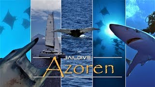 Azoren  Sailing and diving in the Azores  Liveaboard Azores  Segeln und Tauchen Azoren 4K Doku [upl. by Khano]