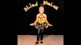 Blind Melon  No Rain [upl. by Dannon]