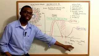 Hepatitis B lecture Video [upl. by Radmen263]