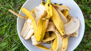 15 Surprising Uses For Bananas and Banana Peels [upl. by Ettennad]