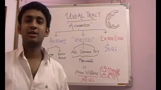 Lecture 3 Uveal Tract Part 1 [upl. by Laina]