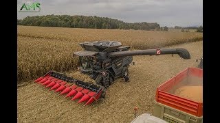 X2 IDEAL FENDT 7PL amp 8T à la moisson de maïs en FRANCE [upl. by Rudiger]