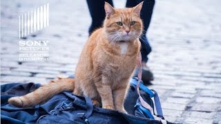 A street cat named Bob  Trailer 1  Sony Pictures [upl. by Kilah4]