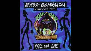 Afrika Bambaataa  Feel The Vibe Extended Mix HQ Acapella [upl. by Llerrehc]