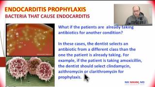 Endocarditis Prophylaxis Update 2017 by NIK NIKAM MD MHA [upl. by Euqinmod]