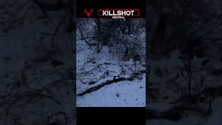 Canadian late season archery  Whitetail Archery Hunting Video Killshot huntingvideo [upl. by Sonstrom]