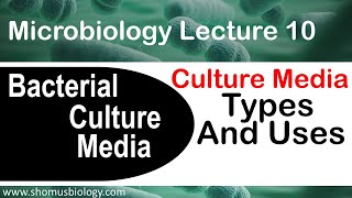 Microbiology lecture 10  bacterial culture media classification types and uses [upl. by Killam224]