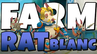 DOFUS 271  Je farm vos DJ  LE RAT BLANC [upl. by Wallie]