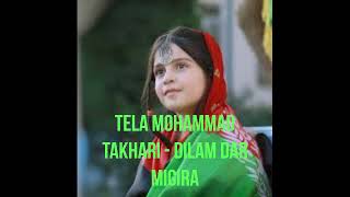 Afghan Song Tela Mohammad Takhari  Dilam Dar Migira دلم در میگیره [upl. by Nabetse160]