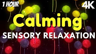 Best Sensory Music for Autism Sensory Visuals [upl. by Gusty]