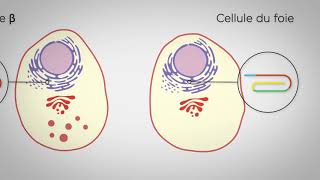 MOOC  Introduction à la biologie systémique de la cellule [upl. by Takeshi]