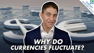 What Causes Currencies to Rise and Fall  FX 101 Finance Explained [upl. by Ylhsa]