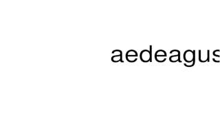 How to pronounce aedeagus [upl. by Aldarcie]