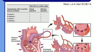 UNDERSTAND CARDIOPULMONARY INTERACT TO AVOID CLINICAL DISASTERS JD Chiche 2015 [upl. by Hamann]