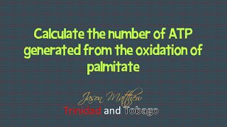 Calculate the number of ATP generated from oxidation of palmitate [upl. by Kuehnel416]