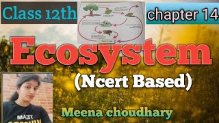 Nutrients cycling Part9Chapter 14Ncert Class 12 th Biology youtubevideos trending viral [upl. by Eilyak344]