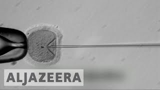 🇺🇸 Breakthrough made in repairing diseasecausing human embryo gene  Al Jazeera English [upl. by Leblanc255]