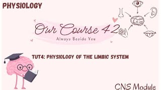 TUT4 physio physiology of the limbic system CNS 42🧠✨ [upl. by Sakiv397]