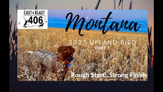 Montana 2023 upland bird season Shaky startStrong finish [upl. by Llorre890]