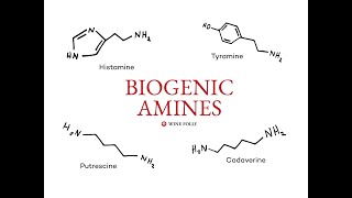 Biogenic Amines Catecholamines and Indolamines [upl. by Irita]