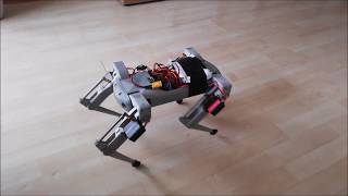 DIY quadruped robot [upl. by Krenn]