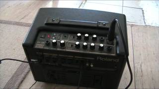 Roland AC33 [upl. by Makell]