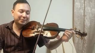 Tutorial Chopin Nocturne op 9 no 2 Violin [upl. by Notsur157]