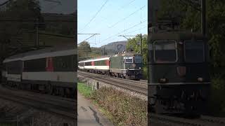 Re 44 🟢 SBB  ExtraTrain Basel  Olten 🇨🇭 train swissrailway [upl. by Atteugram]