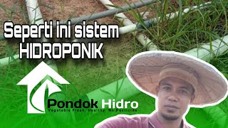 HIDROPONIK  Sistem kerja hidroponik dikebun [upl. by Drhcir510]