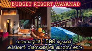 Best budget resorts in wayanad Rest in nature resort wayanad budget resorts wayanad wayanad [upl. by Damien]