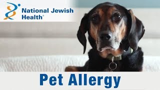 Pet Allergies Understanding Symptoms and Effective Strategies for Living with Your Furry Friends [upl. by Niels]