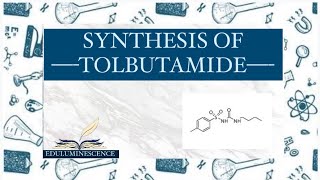 Synthesis of Tolbutamide Bpharma 5th semester  medicinal chemistry  Eduluminescence [upl. by Mathias]